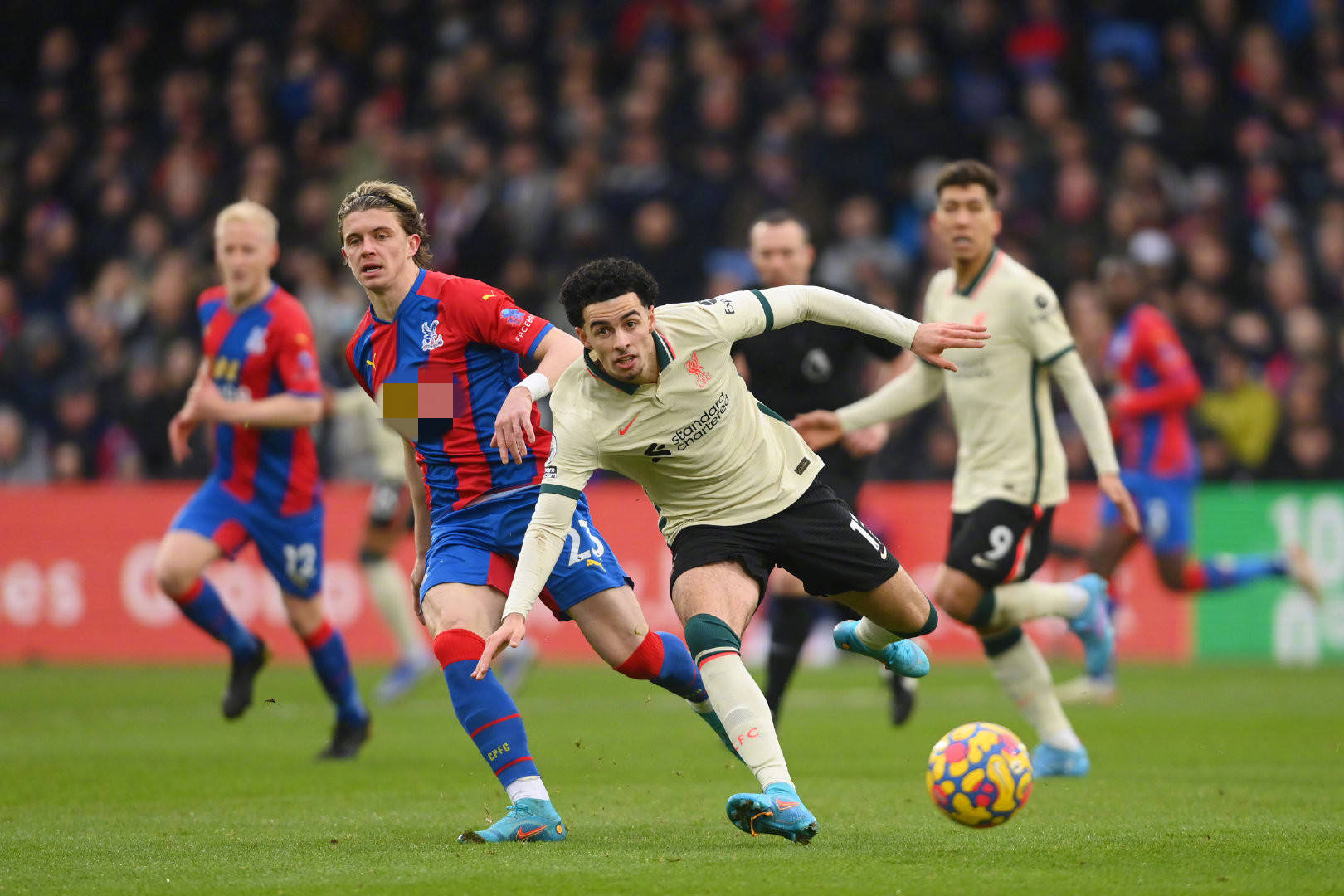 的名字無疑 的名字無疑